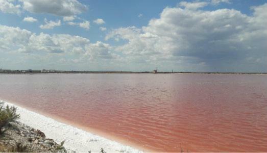 La Casa Di Nonna Francesca Lägenhet San Ferdinando di Puglia Exteriör bild